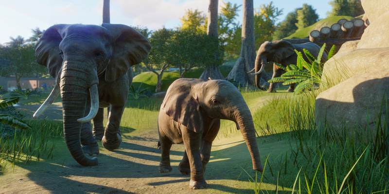 Planet Zoo Review - Zoo Tycoon Reincarnated