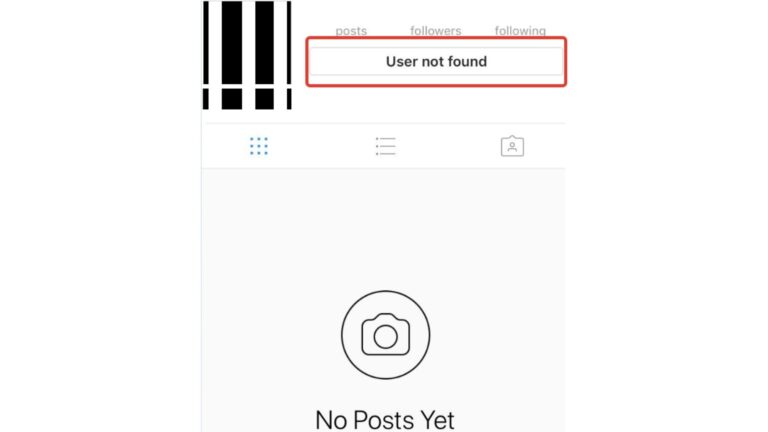 Instagram-User-Not-Found